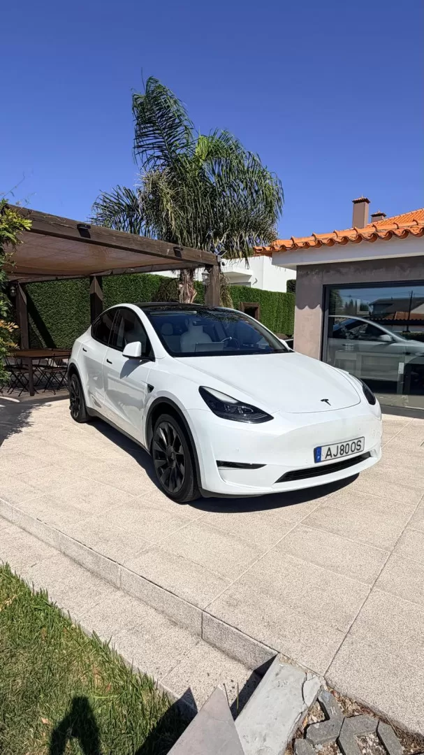 Tesla Model Y Long Range Tração Integral - foto 5