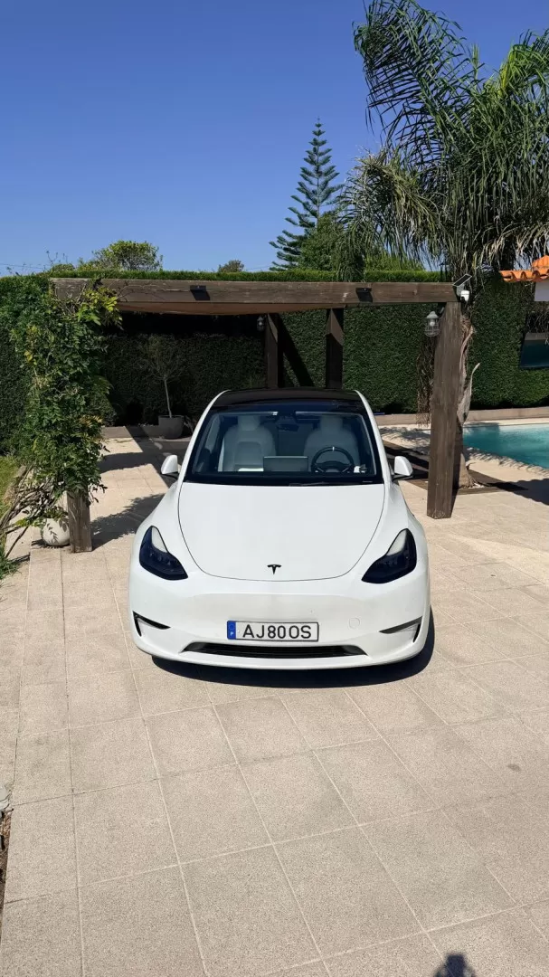 Tesla Model Y Long Range Tração Integral - foto 7