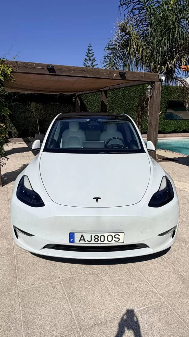 Tesla Model Y Long Range Tração Integral - foto 8