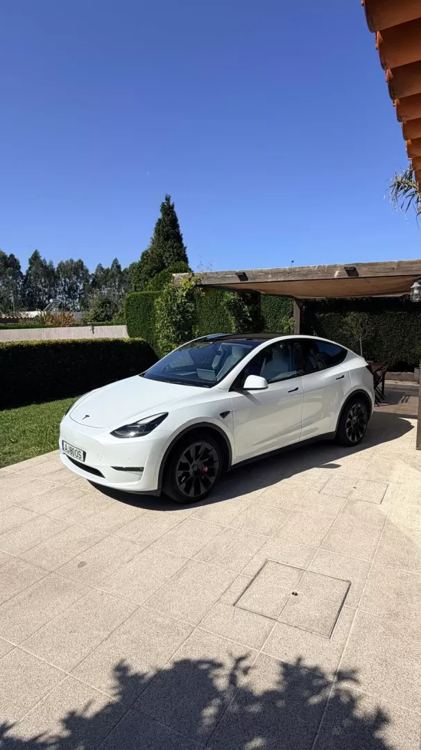 Tesla Model Y Long Range Tração Integral - foto 2