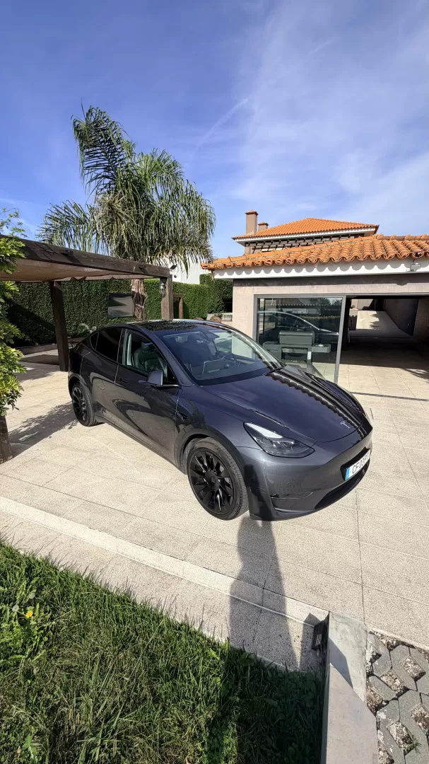 Tesla Model Y Long-Range RWD - foto 6