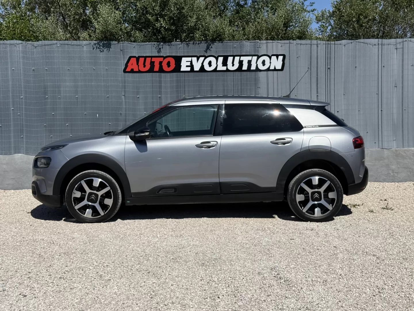 Citroën C4 Cactus 1.6 BlueHDi Shine - foto 3