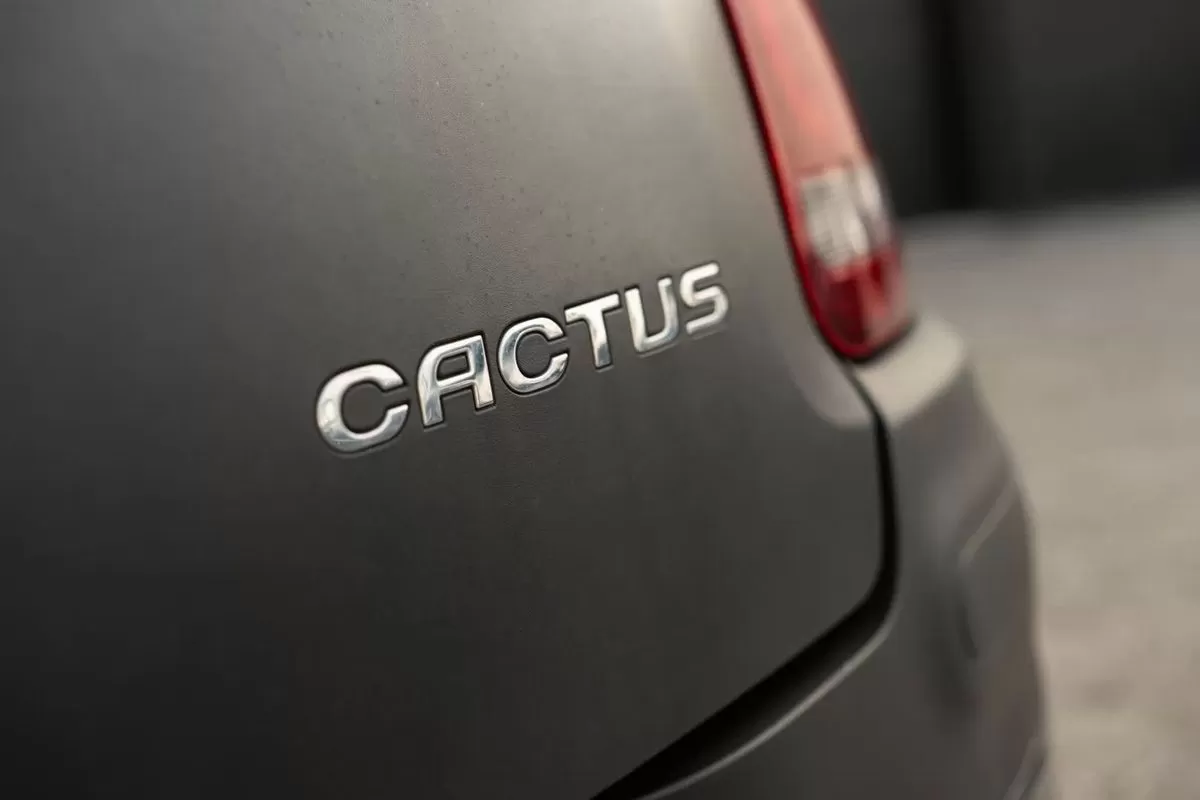 Citroën C4 Cactus Shine - foto 7