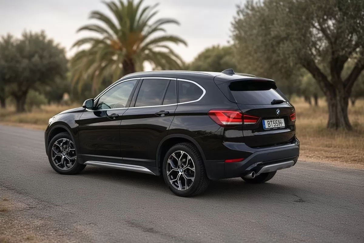 BMW X1 16 d sDrive Line Sport Auto - foto 4