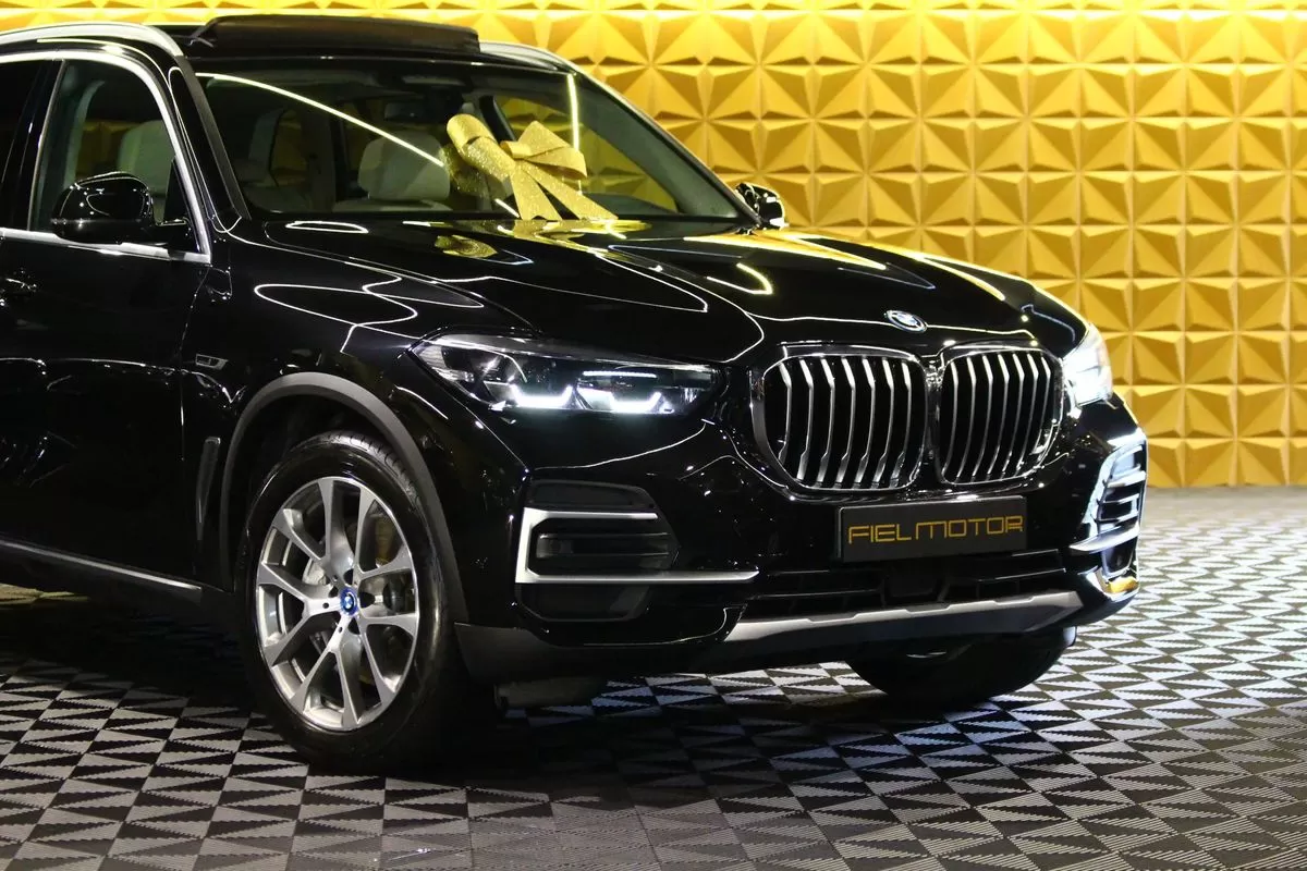 BMW X5 45 e xDrive xLine - foto 7