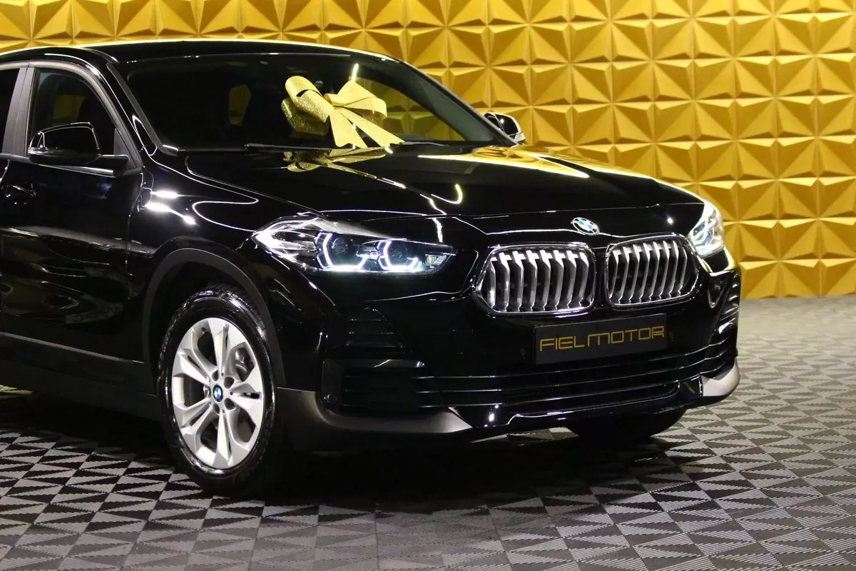 BMW X2 25 e xDrive Advantage - foto 7