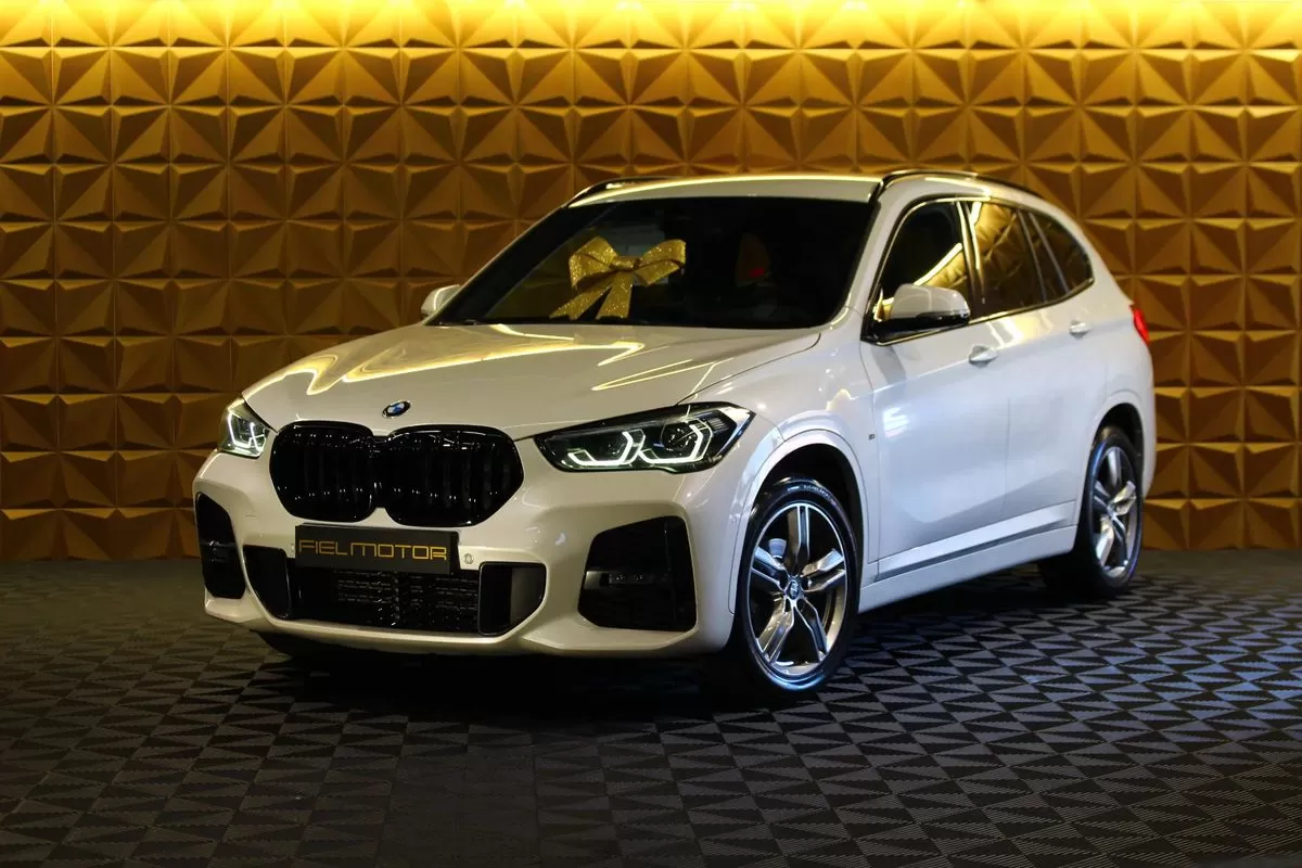BMW X1 16 d sDrive Pack M Auto