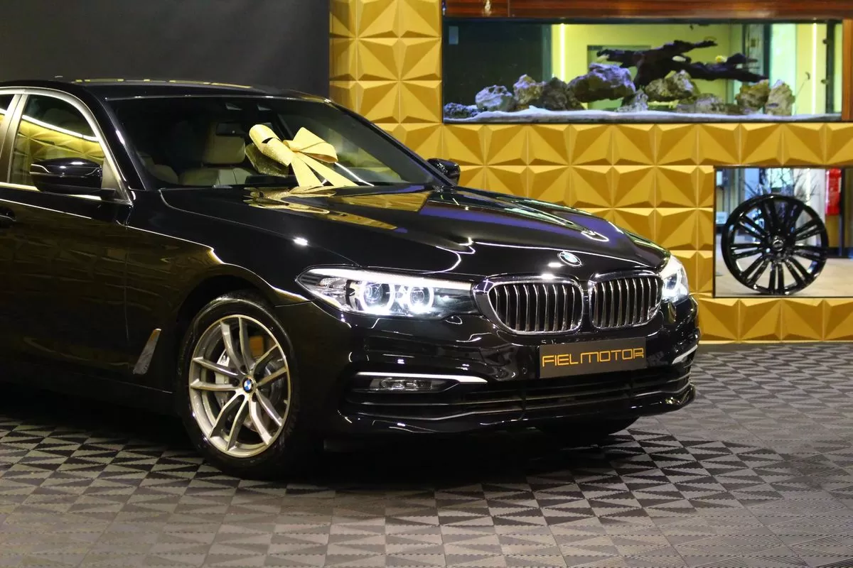 BMW 540 d xDrive Line Luxury Auto - foto 3