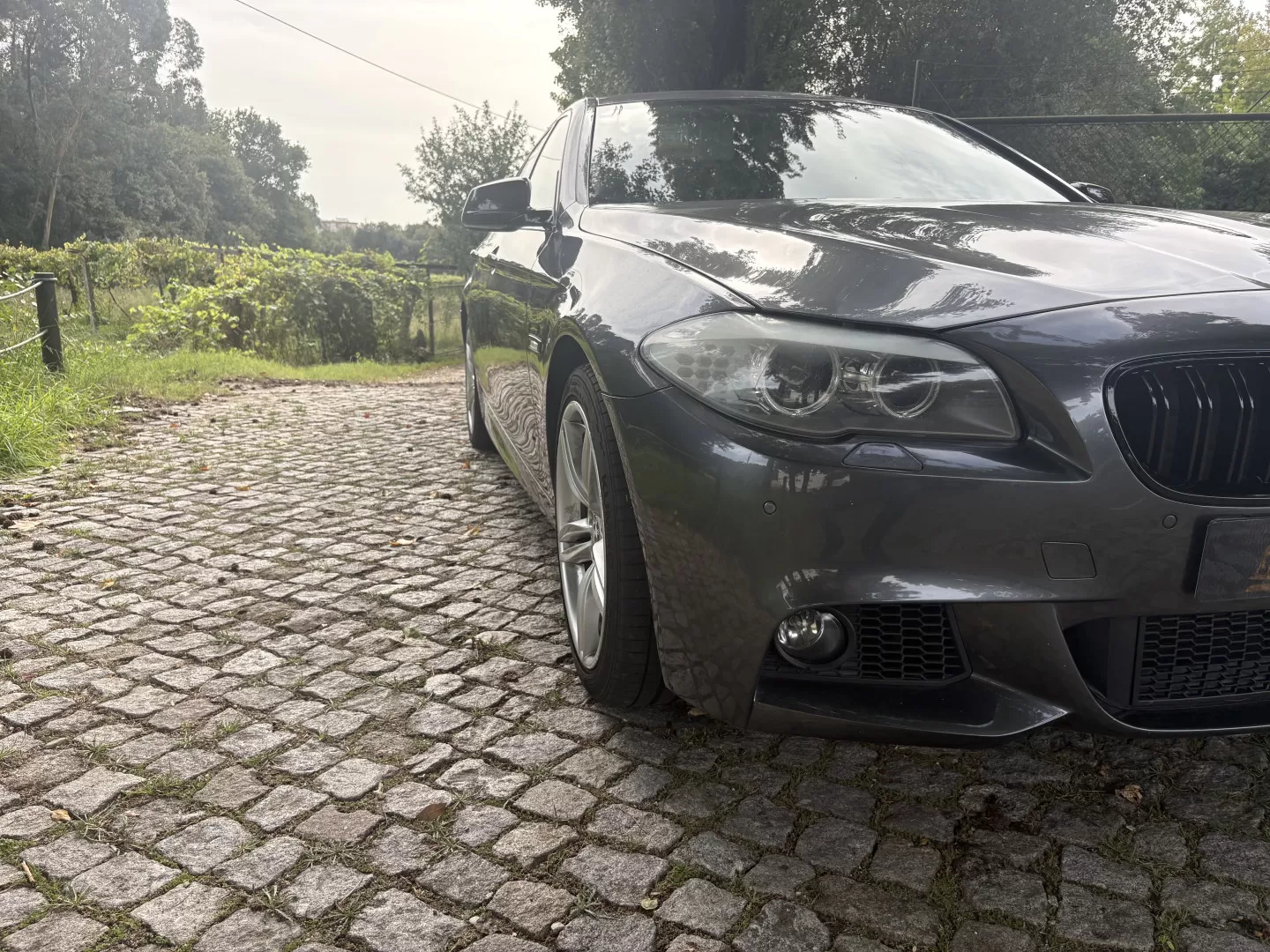 BMW 530 d Pack M Auto - foto 2