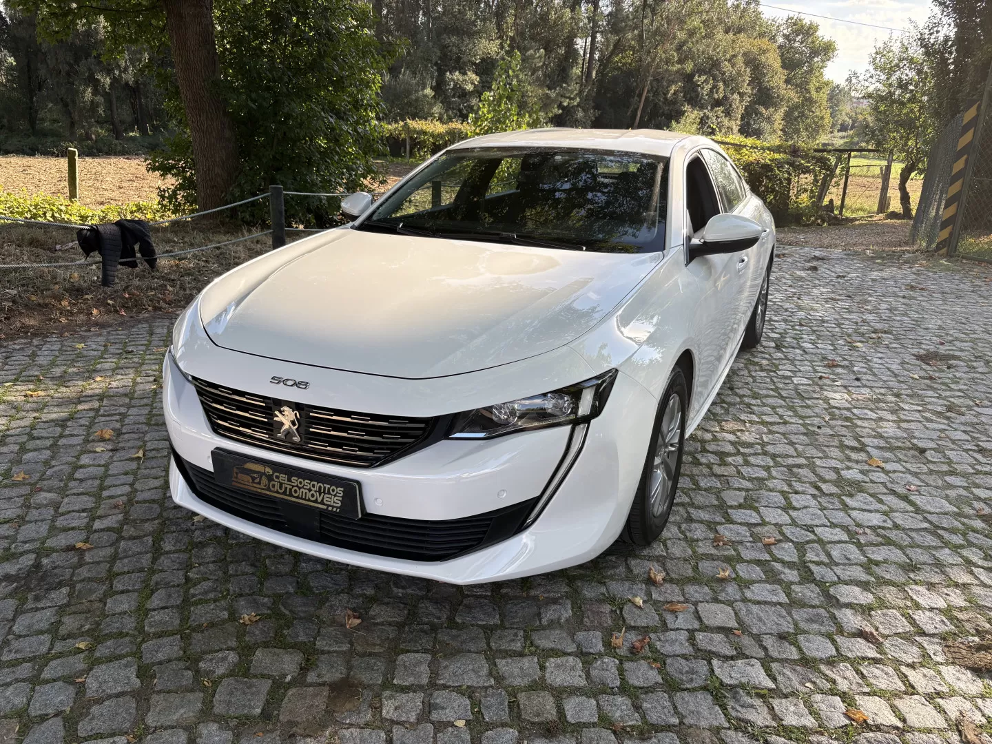 Peugeot 508 1.5 BlueHDi Active - foto 2