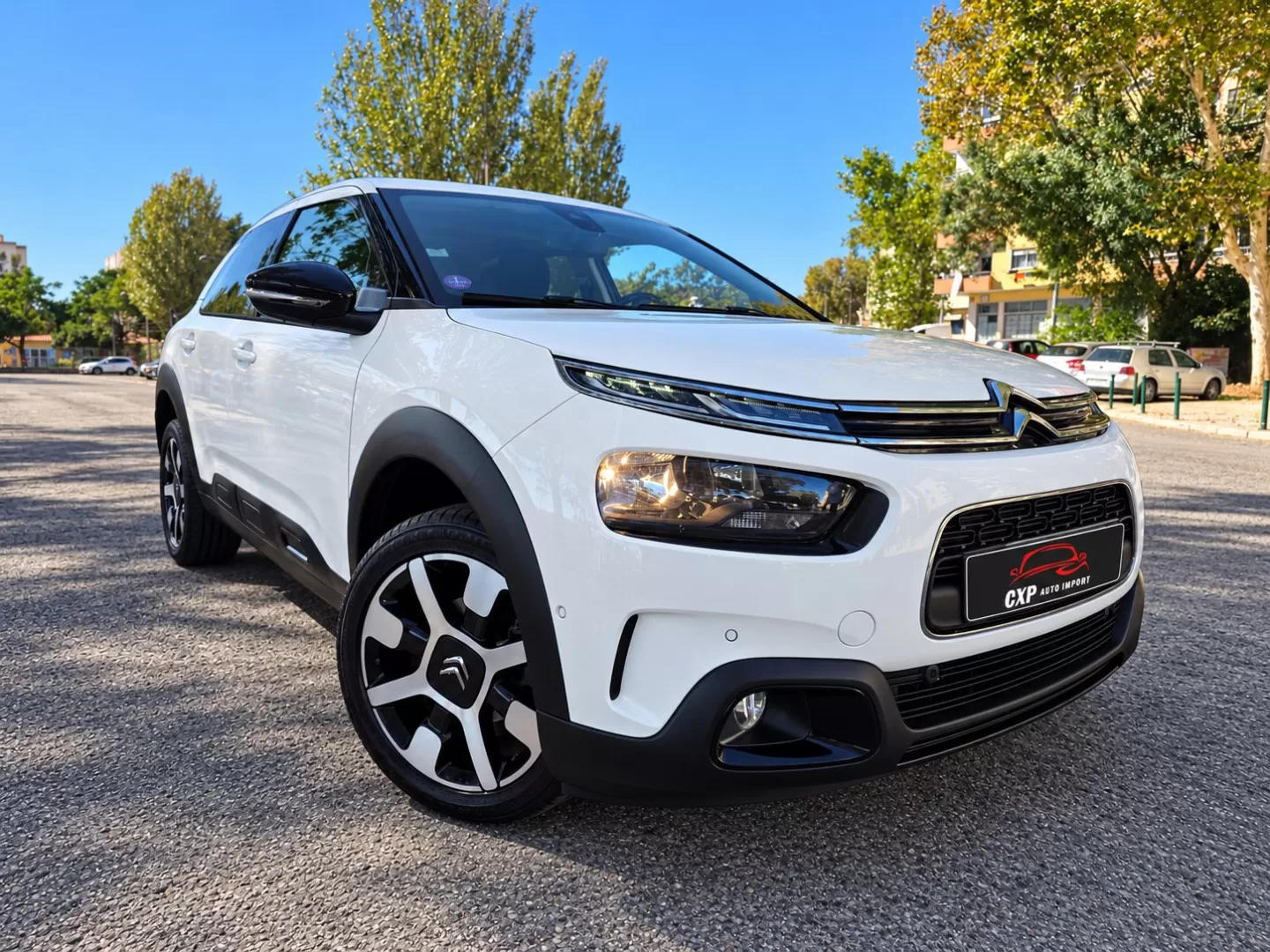 Citroën C4 Cactus PureTech 110 Stop&Start Shine