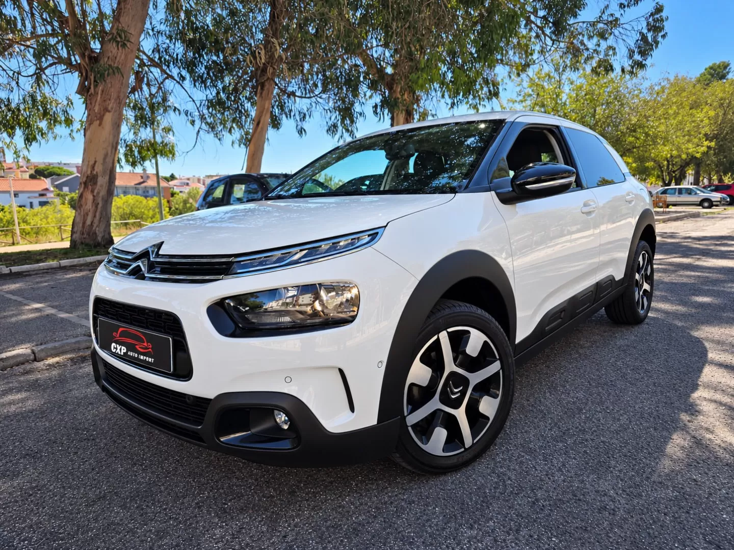 Citroën C4 Cactus PureTech 110 Stop&Start Shine - foto 2