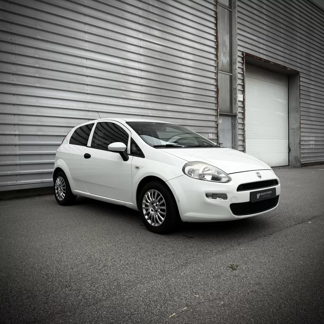 Fiat  Punto 1.3 Multijet Van