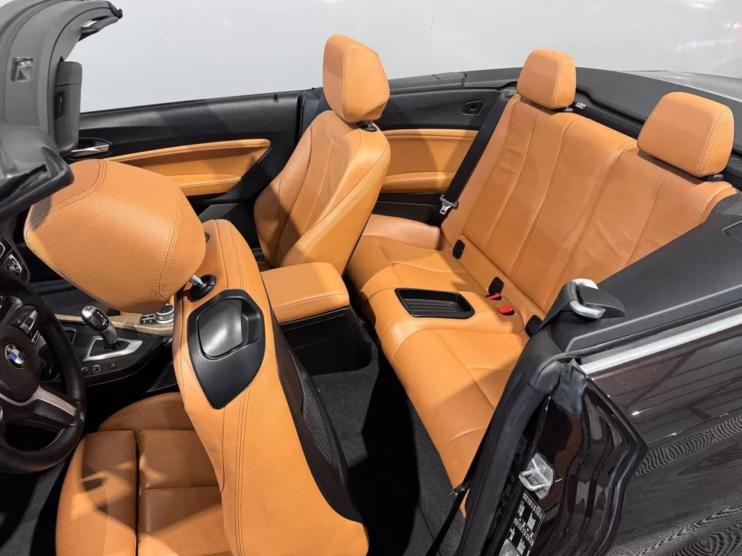 BMW 218 i Cabrio Line Luxury Auto - foto 6