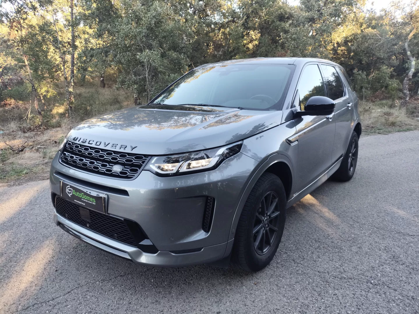 Land Rover Discovery Sport 2.0 D165 R-Dynamic S