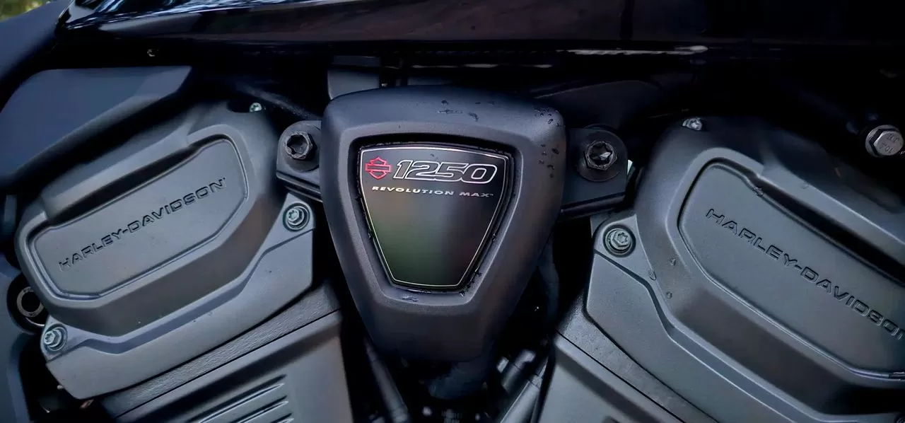 Harley-Davidson  Akrapovic + Malas Harley - foto 5
