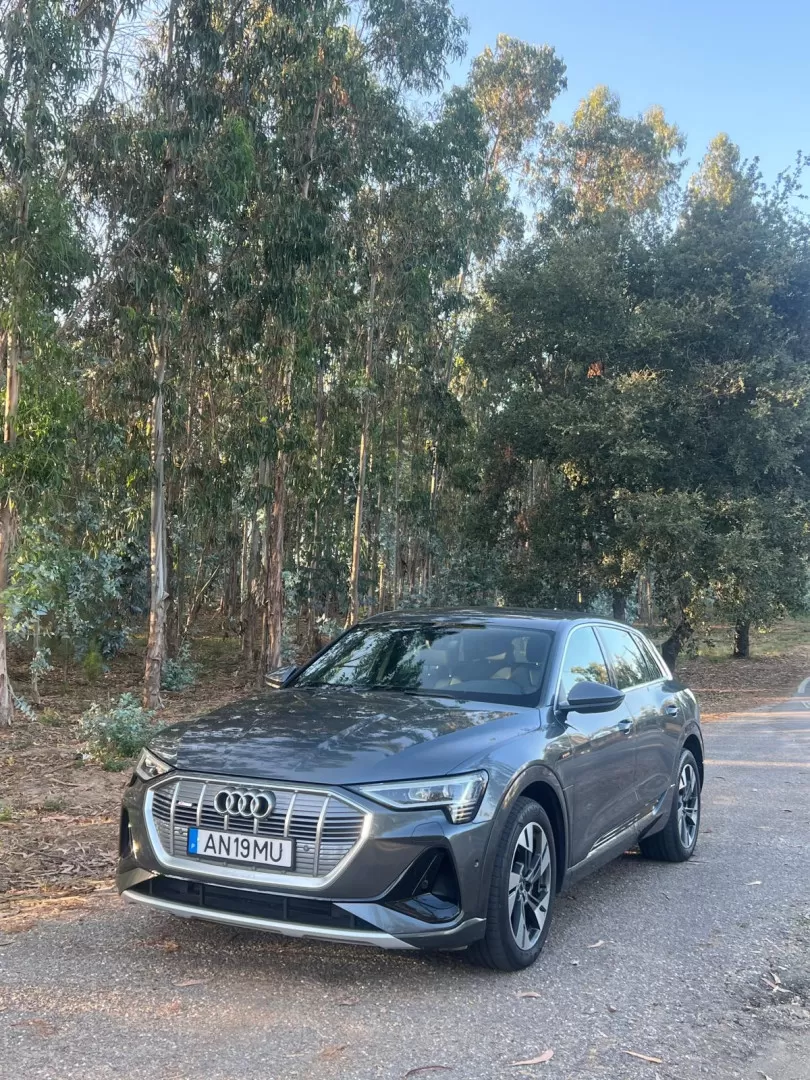 Audi e-tron 55 quattro S line - foto 3
