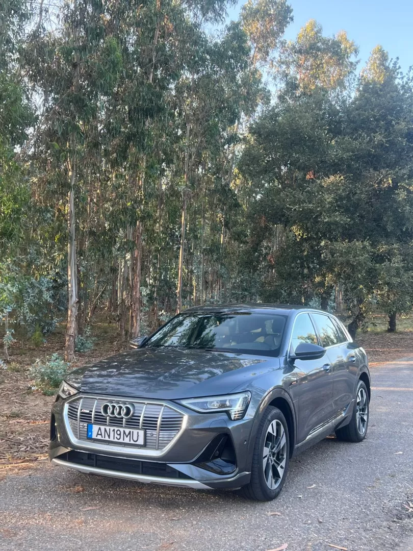 Audi e-tron 55 quattro S line - foto 5