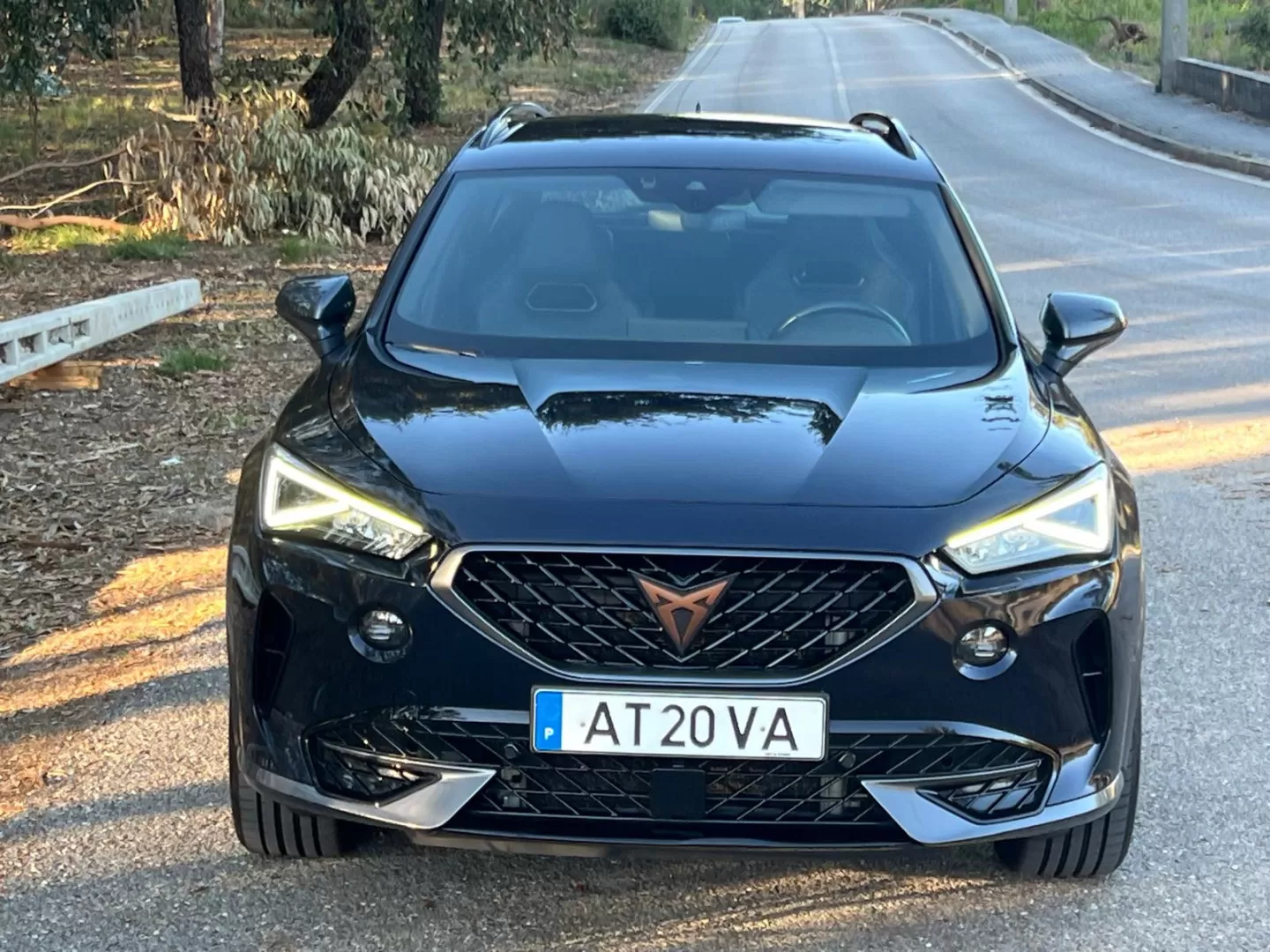 Cupra Formentor 2.0 TDI