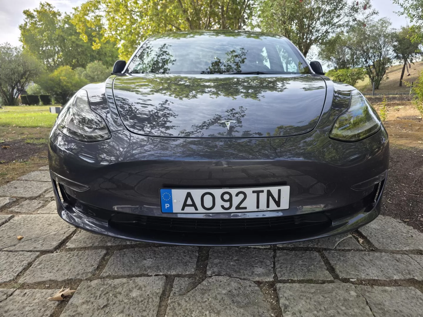 Tesla Model 3 Long Range Tração Integral Premium